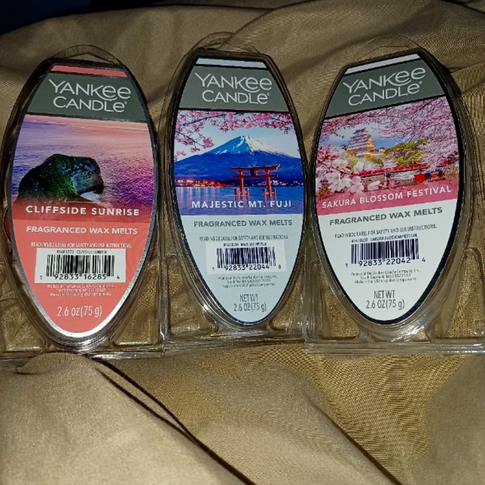 Bundle of wax melts